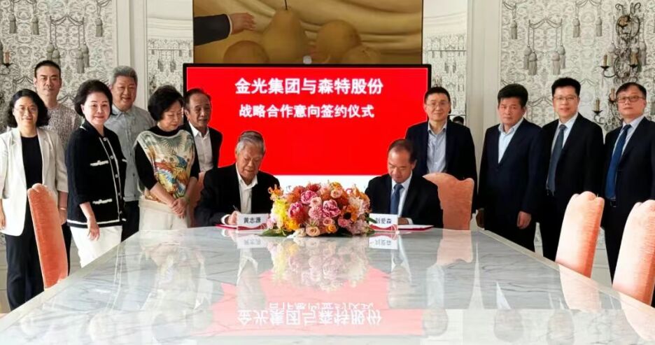 聚焦国际化布局！森特股份与金光集团并肩，共绘印尼发展新蓝图